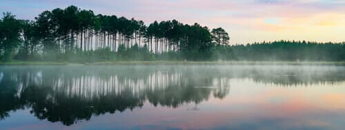 Landscape of Mississippi lake and forest