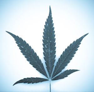 marijuana-addiction