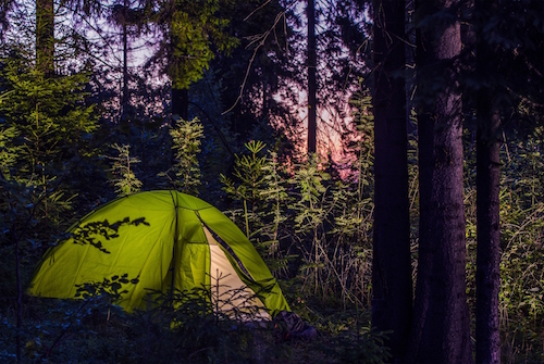 Camping In A Forest