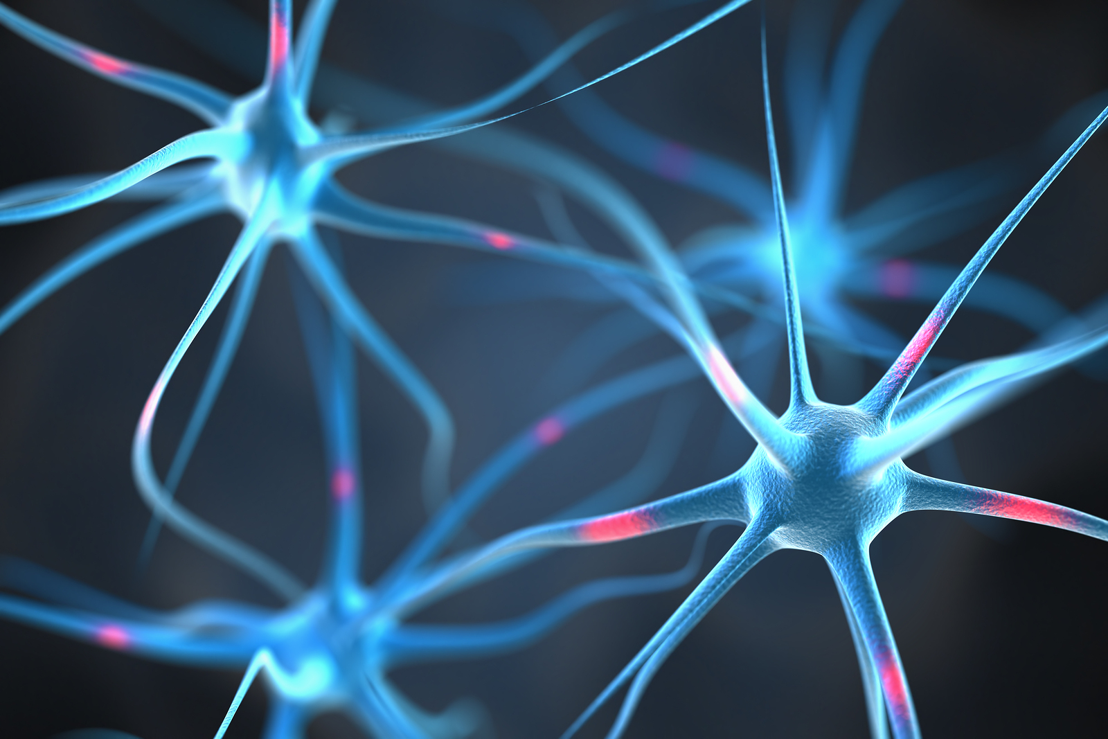 Neurons and neurotransmitters in the brain.