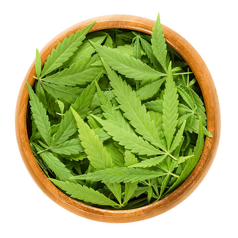a wooden container full of marijuana leaves containing thc