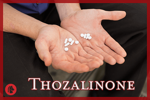 hands holding thozalinone pills