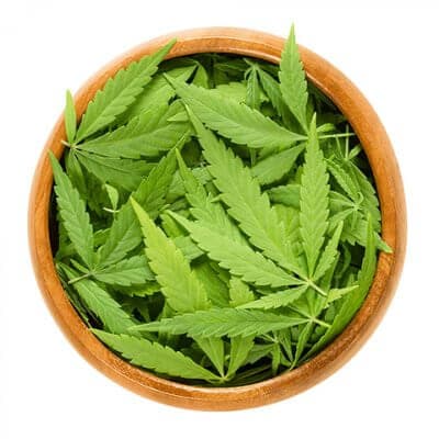 thc-leaves-400x400